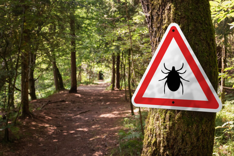 Infected ticks warning sign in a forest for urgent-care-for-a-tick-related-rash blog.